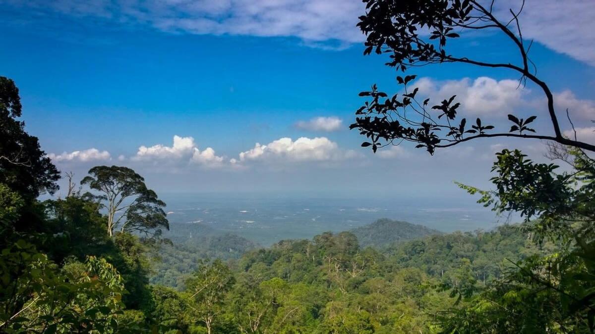 Apartment A Stylish High-floor 2br Suasana Views *